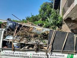 Best Estate Cleanout  in Concord, MI